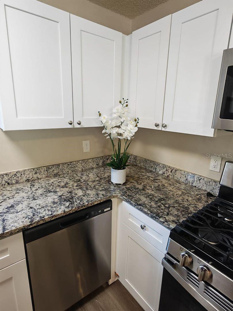 DOUGLAS PARK - Residential Lease