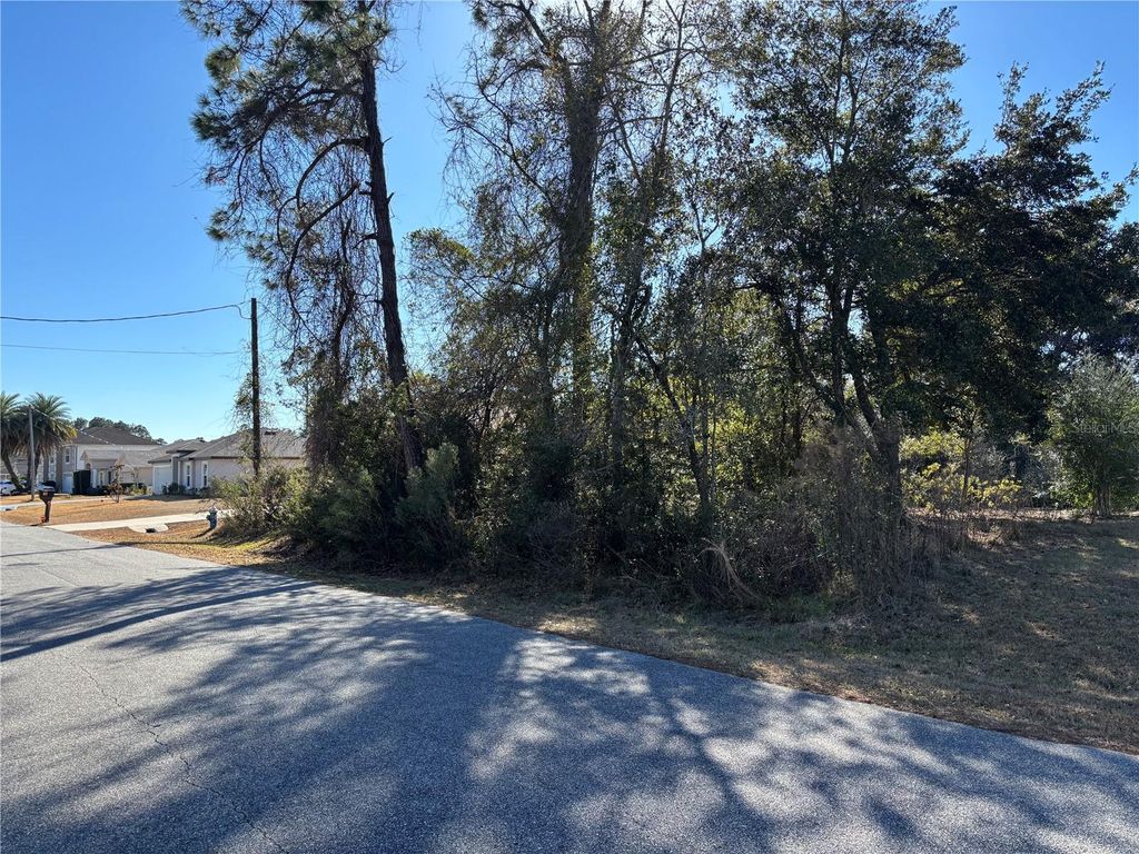 Photo of 8 Roxbury Lane, Palm Coast, FL 32164 (MLS # FC315917)