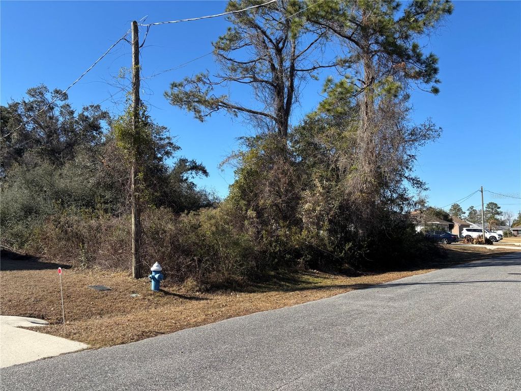 Photo of 8 Roxbury Lane, Palm Coast, FL 32164 (MLS # FC315917)