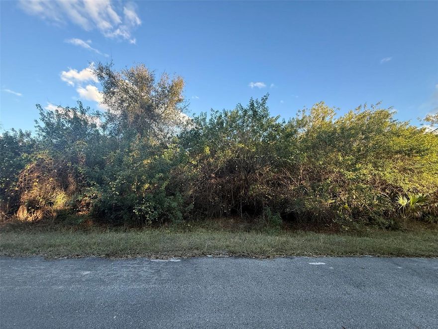 This expansive 2-acre property in the sought-after River Acres fly-in community offers the perfect canvas for your dream home or private retreat. With ample space and flexibility, the property can accommodate a home, workshop, mobile home, animals, or recreational use—making it ideal for both personal enjoyment and investment. The property features road access from both sides, adding convenience and versatility for future use or development. Residents enjoy access to a private airstrip for landing and takeoff, boat access to the Kissimmee River, and multiple scenic trails throughout the community. Experience peaceful country living while remaining just a short drive from town conveniences, including shopping, dining, medical services, and everyday essentials. A rare opportunity in a unique community designed for those who value freedom, outdoor living, and accessibility.