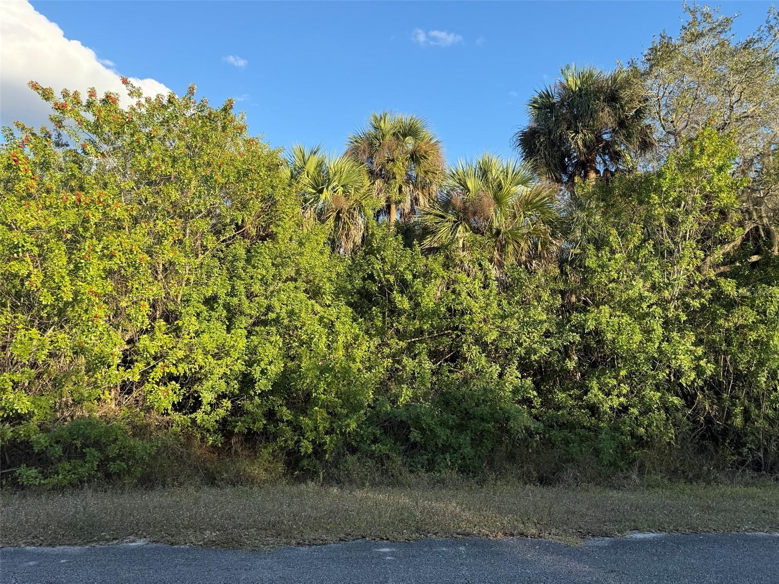 RIVER ACRES ADD - Land