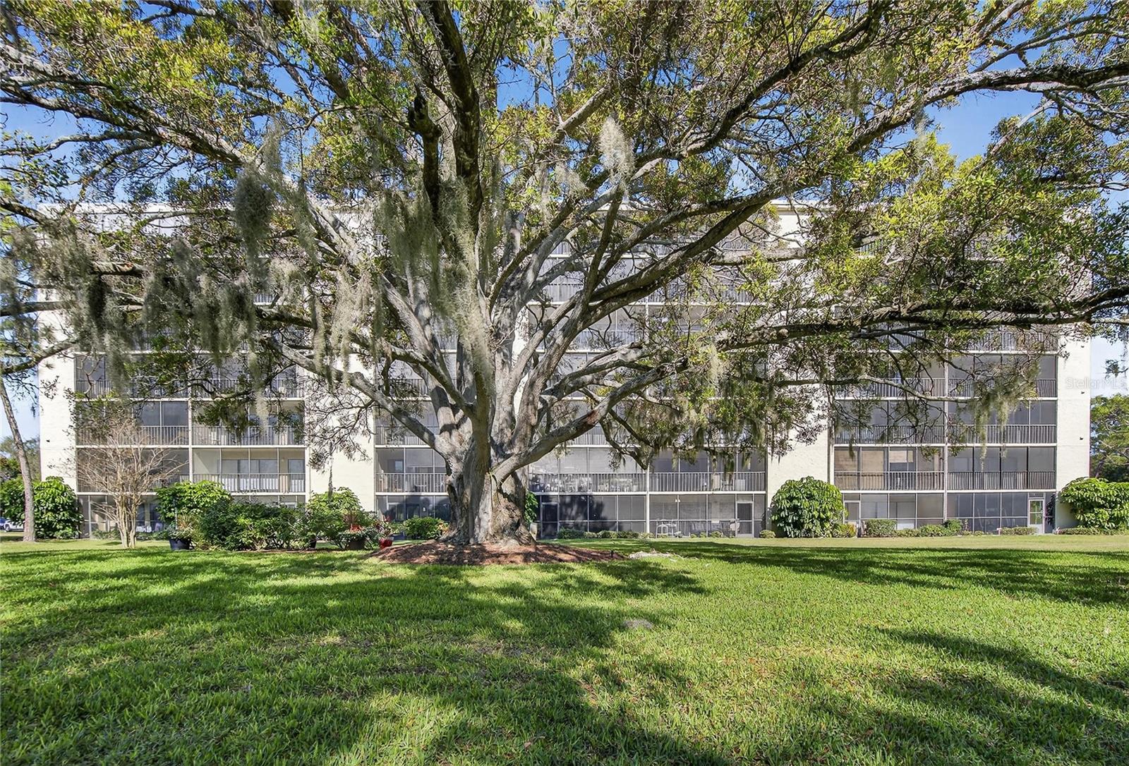 COVE CAY VILLAGE IV - Residential Lease