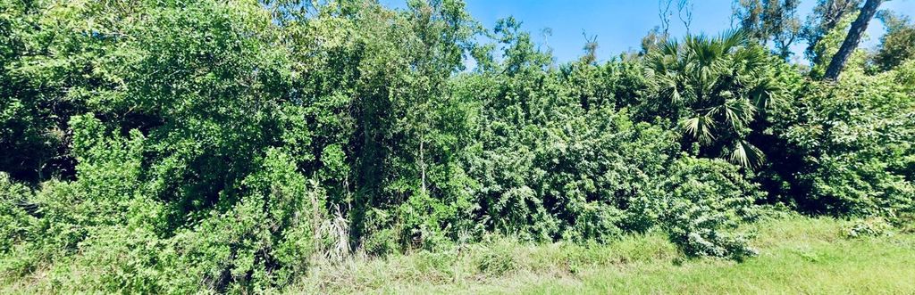 Photo of 14276 Myakka Avenue, Port Charlotte, FL 33953 (MLS # D6146743)