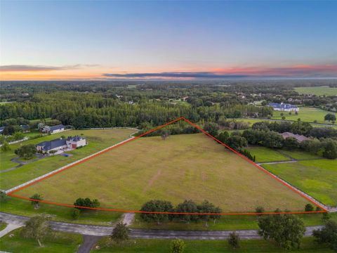 11439 TROTTING DOWN DRIVE ODESSA FL 33556