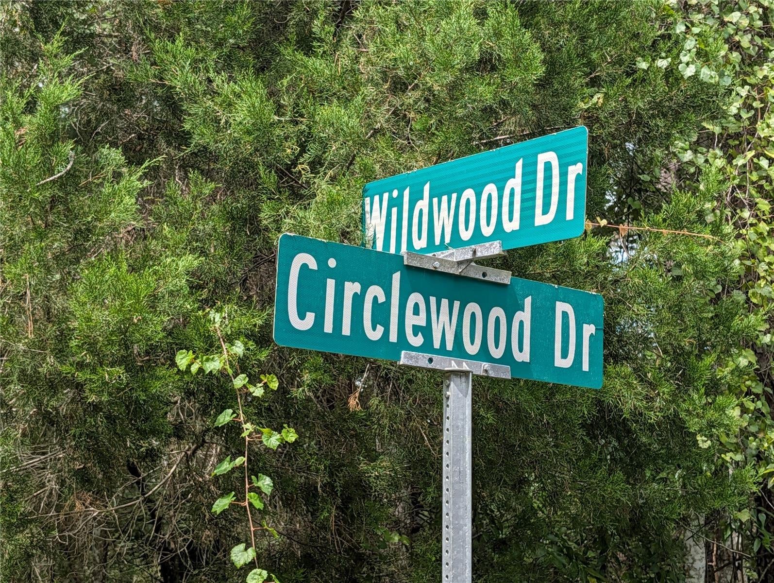 WILDWOOD DRIVE