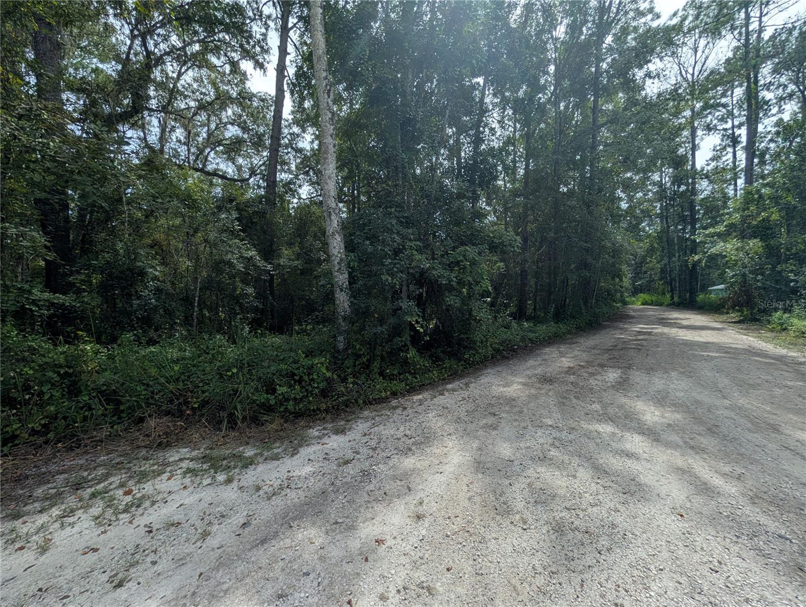 WILDWOOD DRIVE