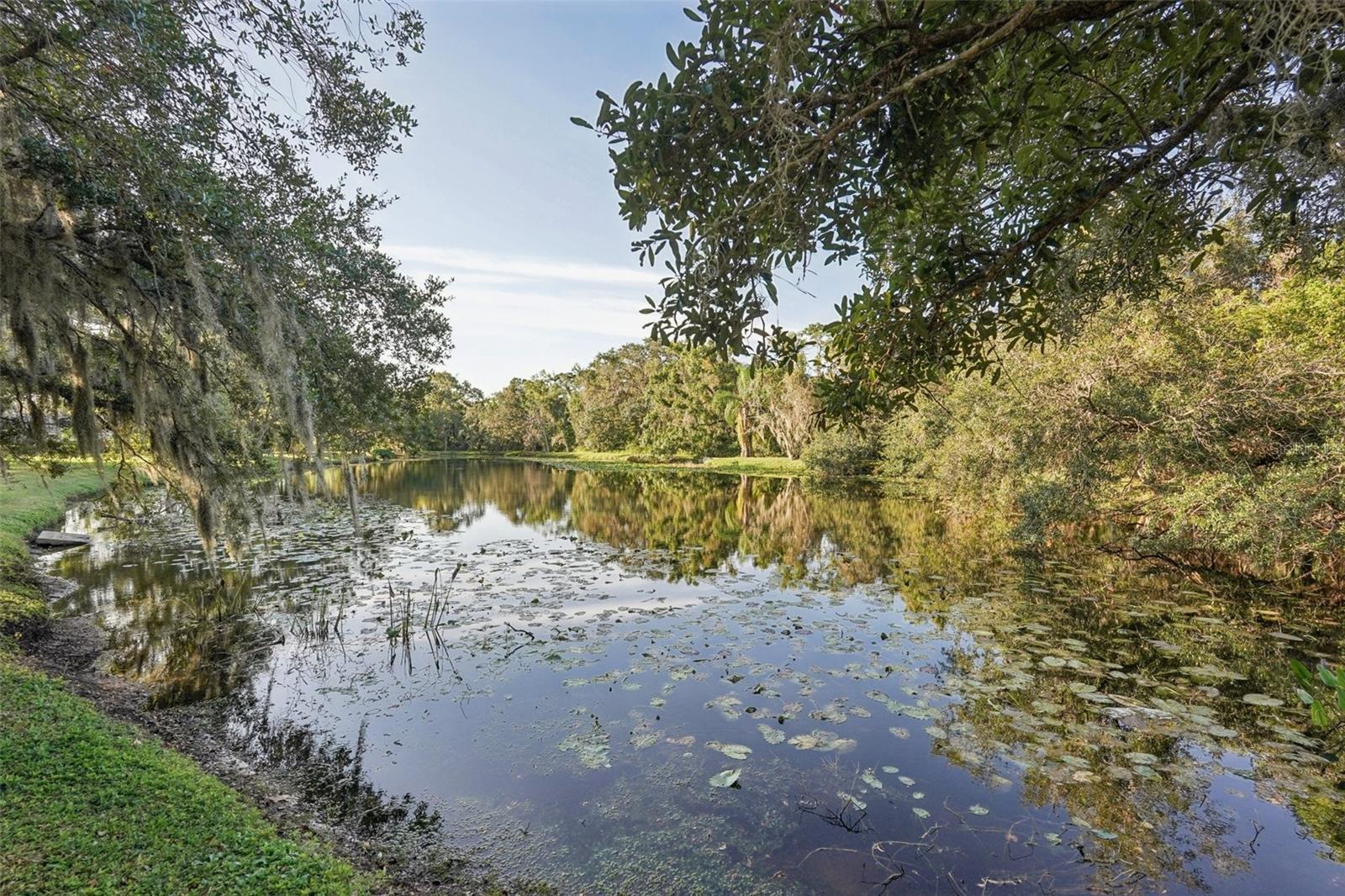COUNTRY CREEK - Residential