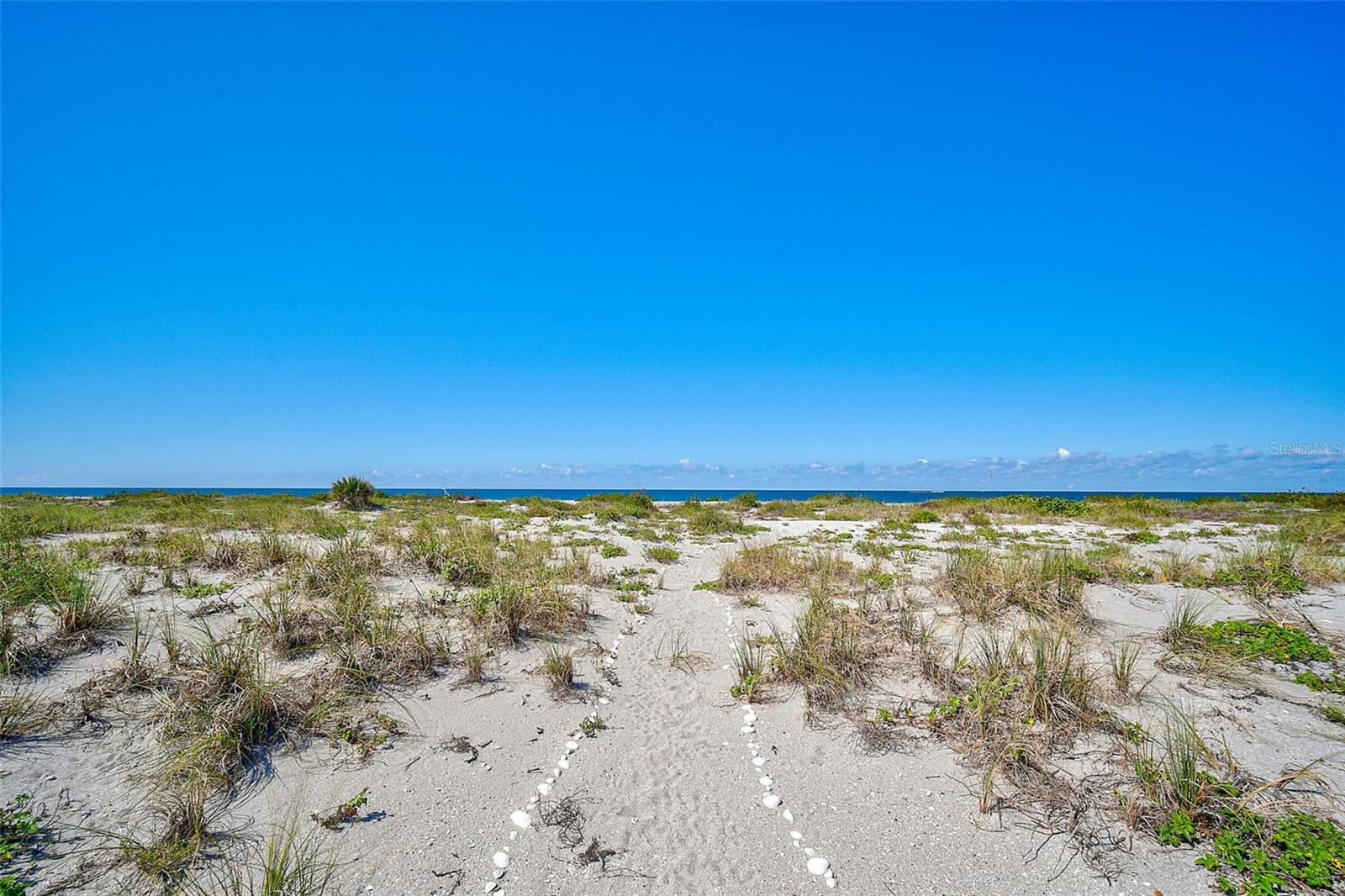 ORLEANS THE - Residential