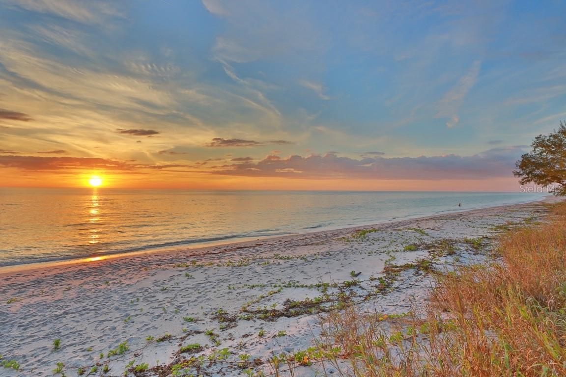 ORLEANS THE - Residential