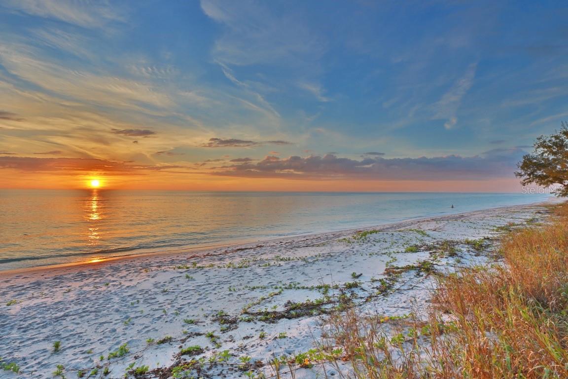 ORLEANS THE - Residential