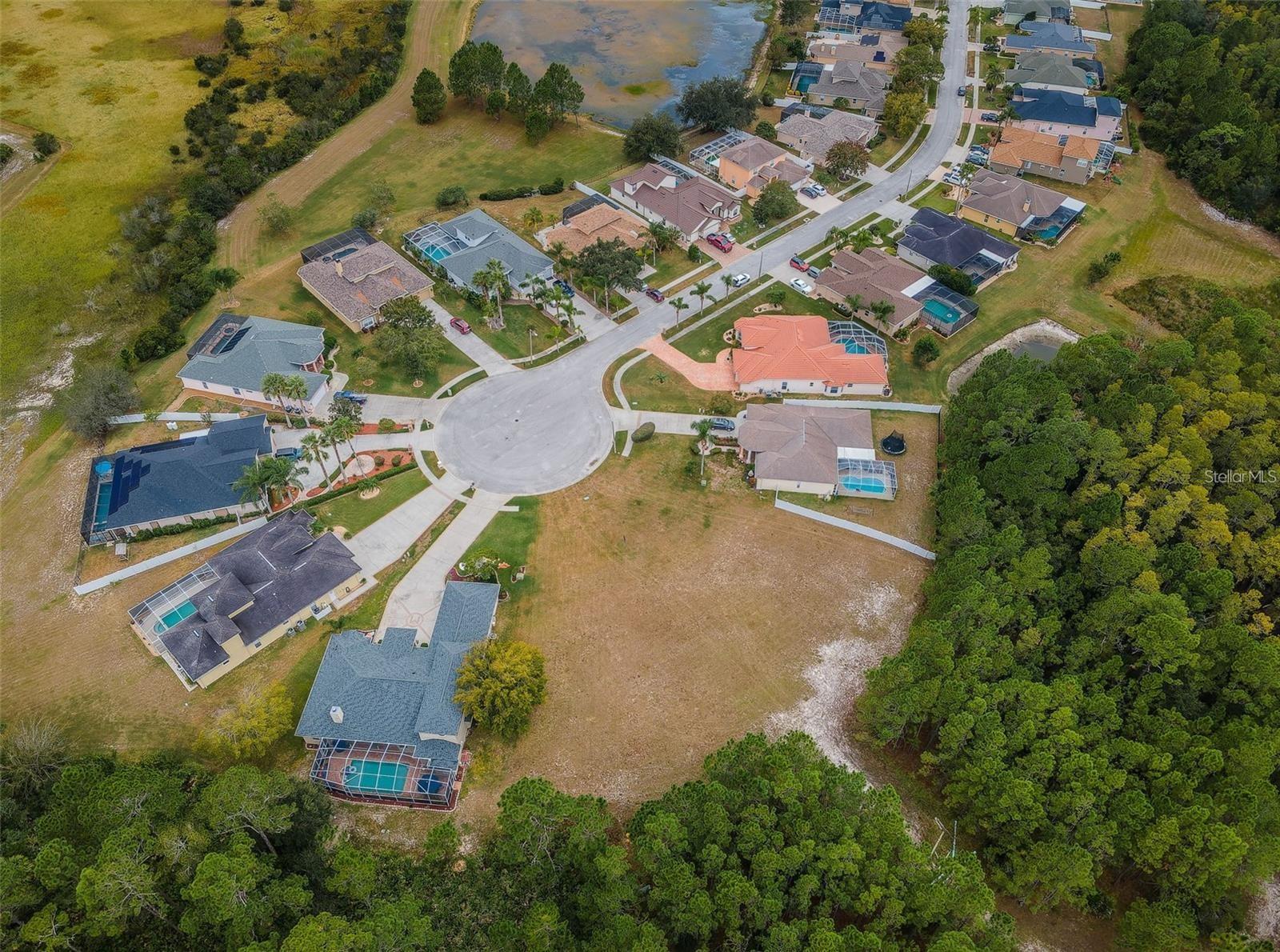 Location! Location! Location! Great opportunity to purchase this parcel totaling 12.50 acres near Trinity, FL area. Build your dream home on this amazing homesite. No CDD's. Near shopping, restaurants, medical, schools, golf courses and expressway to Tampa.