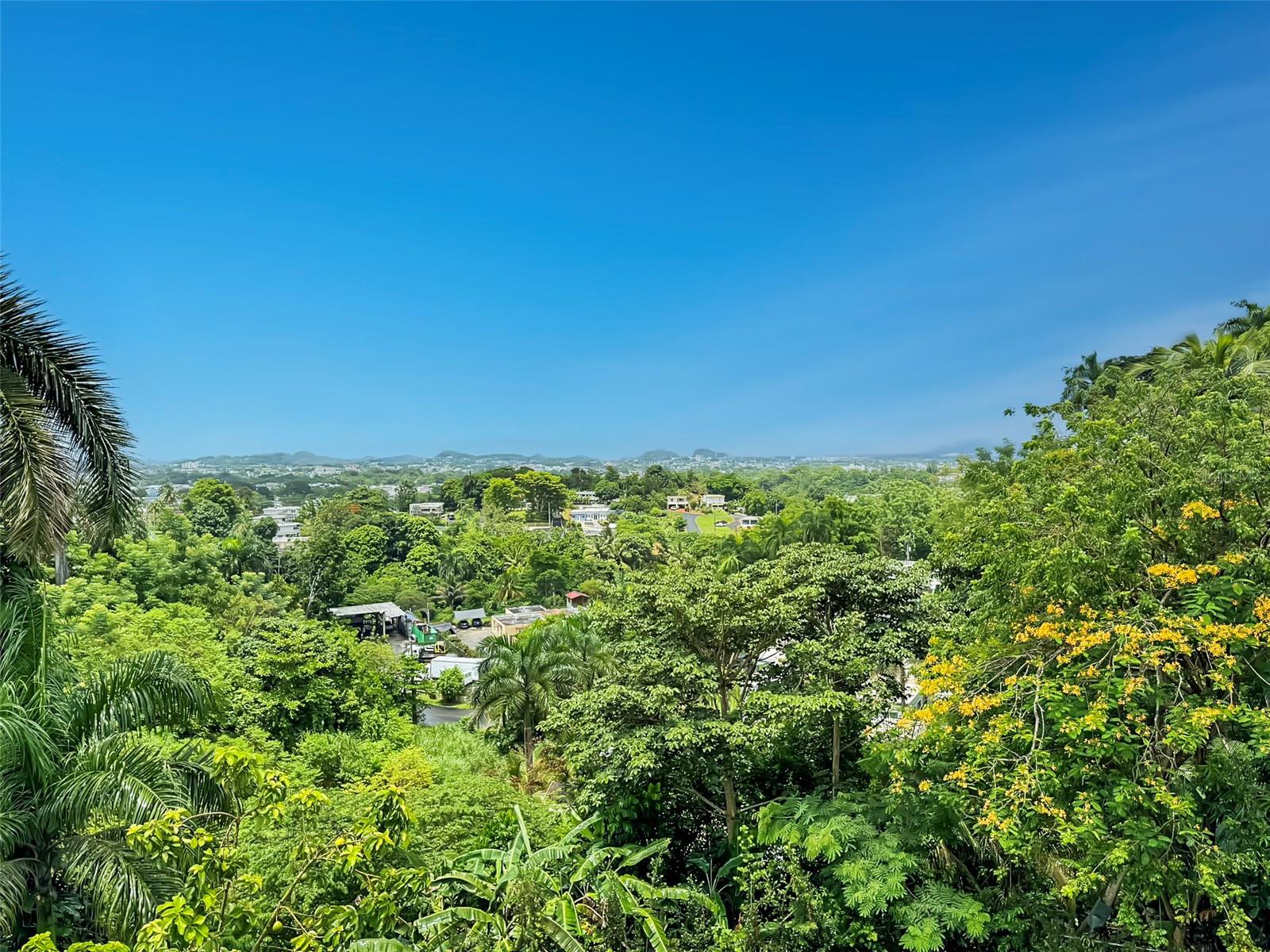 MINILLAS WARD, LA FLORESTA - Residential