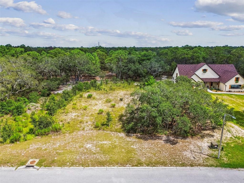 Photo of 17942 Oggie Lane, Hudson, FL 34667 (MLS # TB8415291)