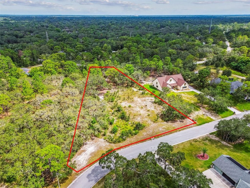 Photo of 17942 Oggie Lane, Hudson, FL 34667 (MLS # TB8415291)