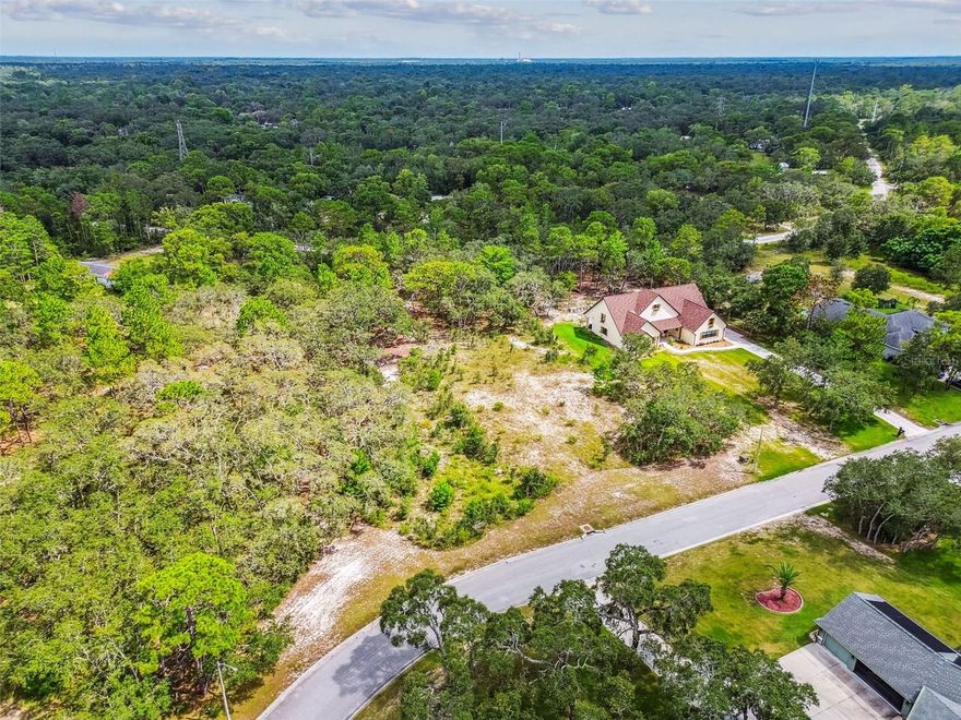 Build Your Florida Dream Home in Autumn Oaks!
Welcome to one of Hernando County’s premier communities—Autumn Oaks—where this beautiful 1.21-acre homesite offers the perfect opportunity to create your custom dream residence. Ideally situated with no rear neighbors, this expansive lot provides peace, privacy, and a stunning natural backdrop.

Set within an established, upscale neighborhood known for its elegant homes, spacious parcels, and tranquil ambiance, this property comes with no CDD fees and low HOA dues of just $150/year—offering both value and quality of life.

Enjoy being just minutes from everyday essentials, top-rated restaurants, and boutique shopping, while nearby attractions such as the crystal-clear waters of Weeki Wachee Springs State Park provide endless outdoor recreation. Love the coast? You’re just a short drive from some of Florida’s most breathtaking Gulf Coast beaches, known for their powder-soft sand, turquoise water, and unforgettable sunsets.

Whether you're looking to retire in style, build your forever home, or invest in a growing community, this lot is an exceptional find. Come discover the lifestyle that awaits you in Autumn Oaks.