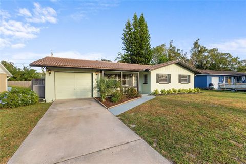 A home in DUNEDIN