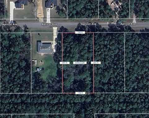 APRICOT AVENUE EUSTIS FL 32736