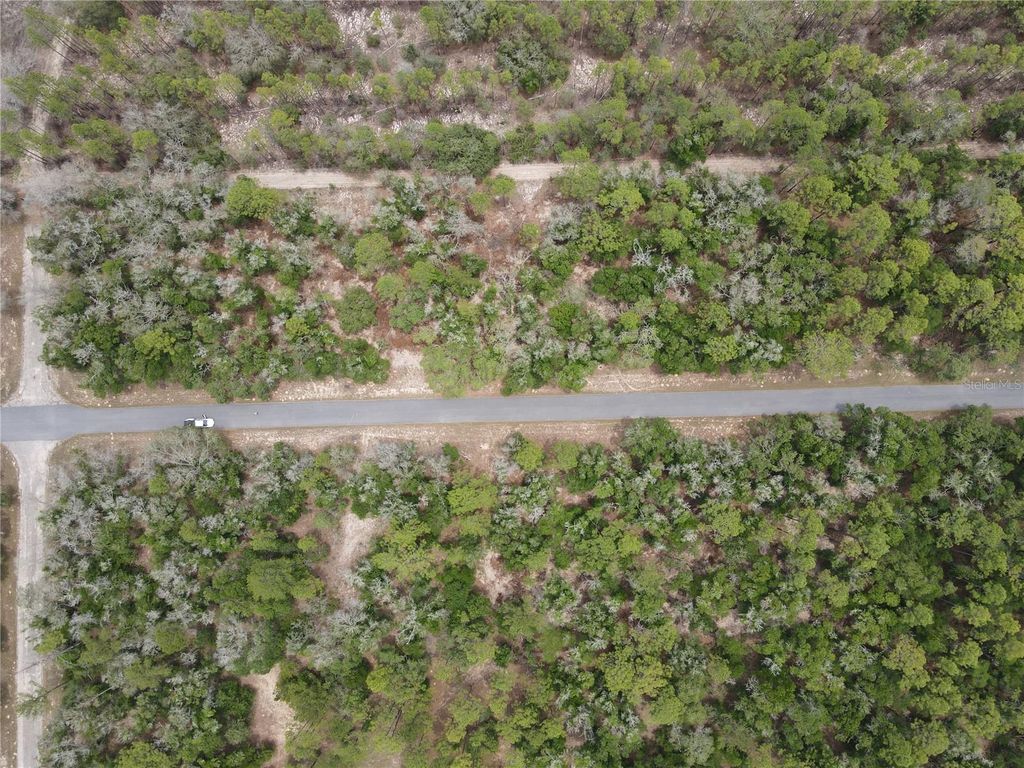 Photo of 8387 N Yellowbird Avenue, Dunnellon, FL 34434 (MLS # O6337067)