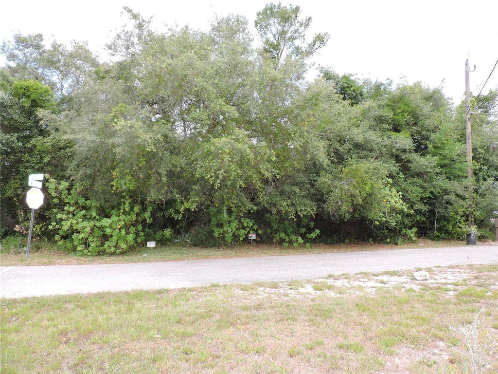Photo of 960 Peru Court, Deltona, FL 32738 (MLS # O6442083)
