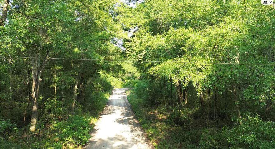 Calling ALL NATURE LOVERS !!!  This Beautiful wooded 2.27 Acre corner lot  located in Suwannee County Florida is your dream. This Property has electric and phone on the corner of the lot to run lines .This virgin untouched lot is located near scenic State parks, natural springs, and charming small towns. You can go diving in underwater caves, tubing, or canoeing down our crystal clear spring feed rivers. You can hike through the woods and see wildlife at it's best . This property is 25 minutes to Live Oak, the perfect classic Florida southern town with restaurants, boutiques, bars and entertainment. This community has no HOA !! 
Come build your custom home and get away from the hustle and bustle and enjoy the quiet, scenic Florida Life.