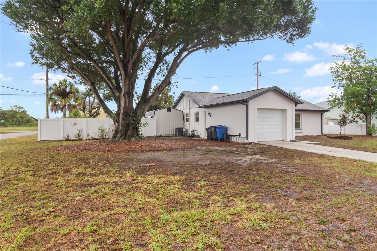 217 FRANCIS DRIVE
