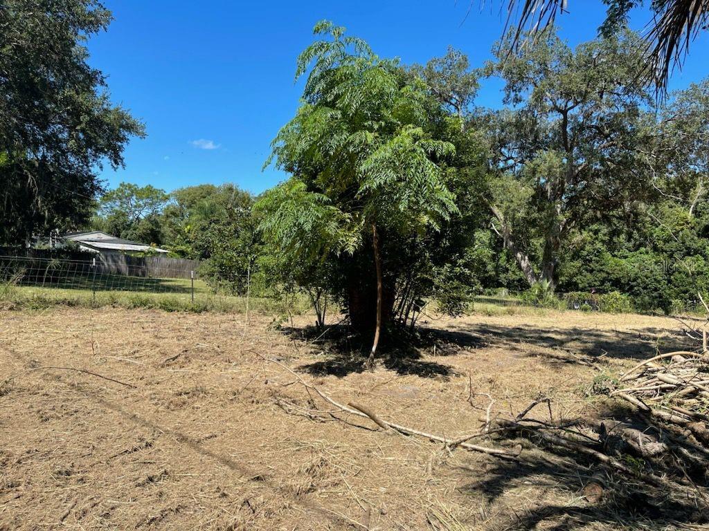 ROSENWALD GARDENS PT REP SUB - Land