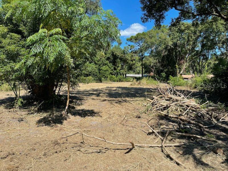 ROSENWALD GARDENS PT REP SUB - Land