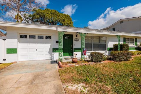 Photo of 349 89th Avenue NE, St Petersburg, FL 33702 (MLS # TB8478234)