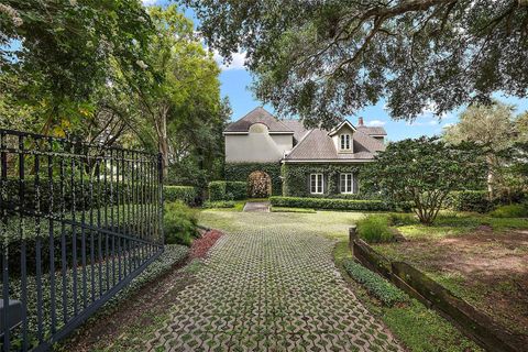 A home in MOUNT DORA