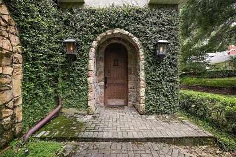 A home in MOUNT DORA