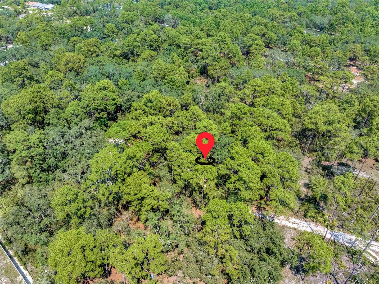 Escape to Florida living on this 2.5-acre parcel in Royal Highlands, just minutes from the Lagoon! Tucked away in a quiet area with no HOA or CDD fees, this oversized lot offers the perfect blend of privacy and convenience. Build your dream home with plenty of space for a pool, garden, RV, or boat—your options are endless. Whether you’re ready to build now or invest for the future, this property checks all the boxes. Seller financing available—make your dream a reality today!