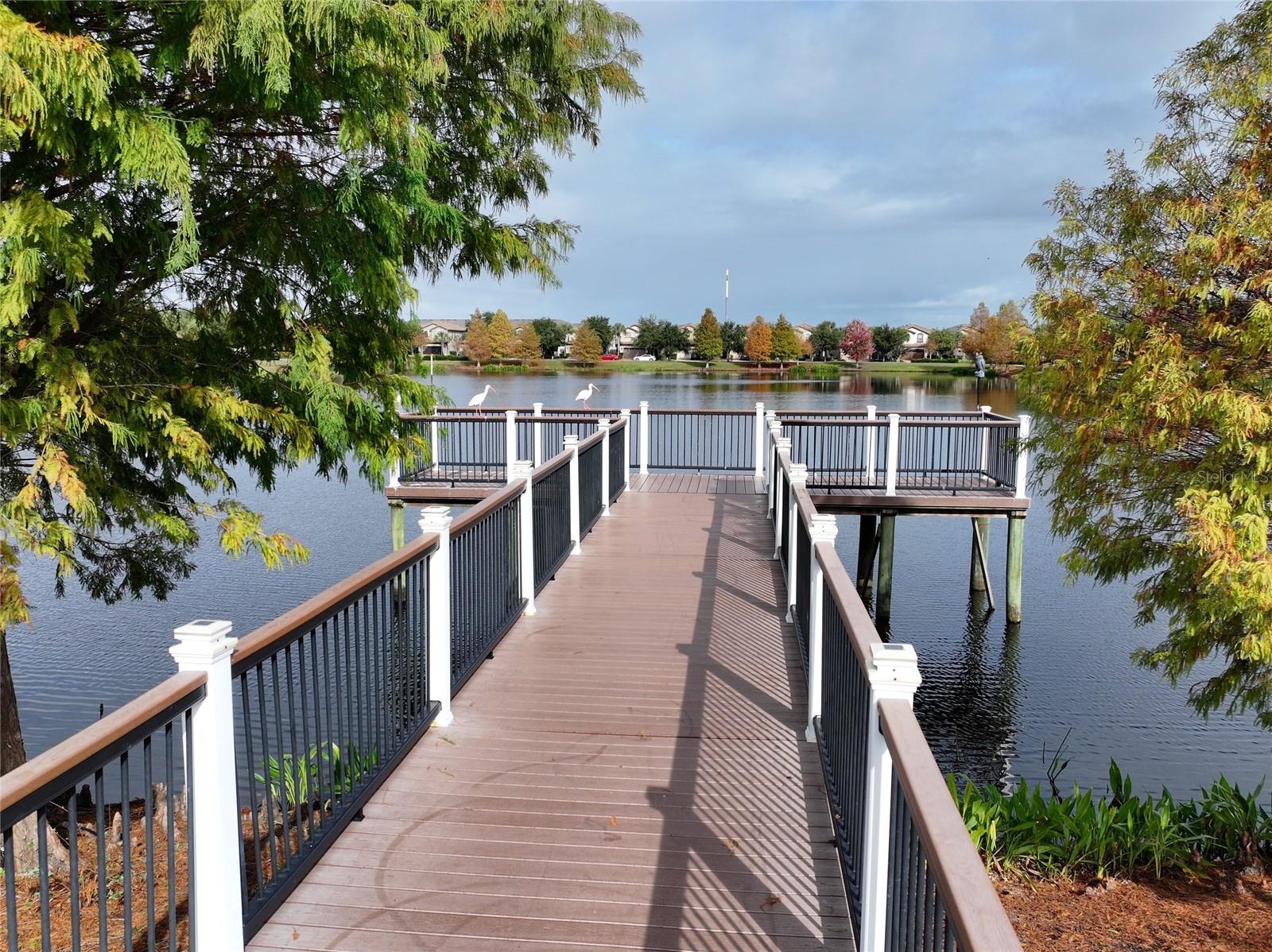 WINDSOR AT WESTSIDE PH 1 - Residential