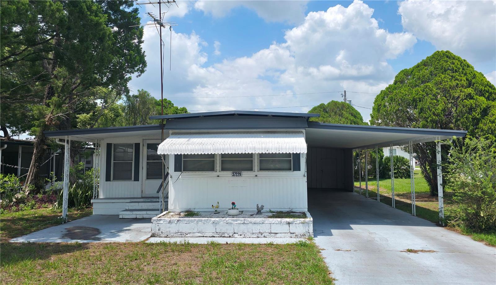 Singlewide with addition in Betmar Acres. 2 bedrooms 1.5 baths. Open concept front floorplan features combined living room with vaulted ceiling and eat-in kitchen. Spacious 10x36 add on Florida room with closet and 1/2 bathroom. Cozy guest bedroom with built-in dresser & closet. Full hall bathroom features double sinks, tub with shower surround, built-in cabinetry and linen closet. Comfortable primary bedroom with closet, dual built-in dressers and vanity area. Exterior features include aluminum siding, metal roof over, painted driveway, sidewalk & covered front porch, long carport with space for 2 vehicles, attached utility room with washer/dryer + a freestanding shed for additional storage, umbrella clothesline, central HVAC + supplemental wall unit in kitchen. Furnished as shown including all major appliances. Situated in Betmar Acres—a vibrant, friendly 55+ community where you own your land. Low annual park dues of only $423 make it an appealing choice for those seeking an active lifestyle in the Sunshine State. Betmar Acres offers a wide range of activities & amenities including bingo, dances, indoor shuffleboard, two swimming pools, two hot tubs, organized monthly activities, three nine-hole golf courses, miniature golf, park library, horseshoes, pickleball, tennis, bocci ball, basketball court, gazebos, fenced pet play area & walking paths. This community has it all for your entertainment. Call today to schedule your private tour.