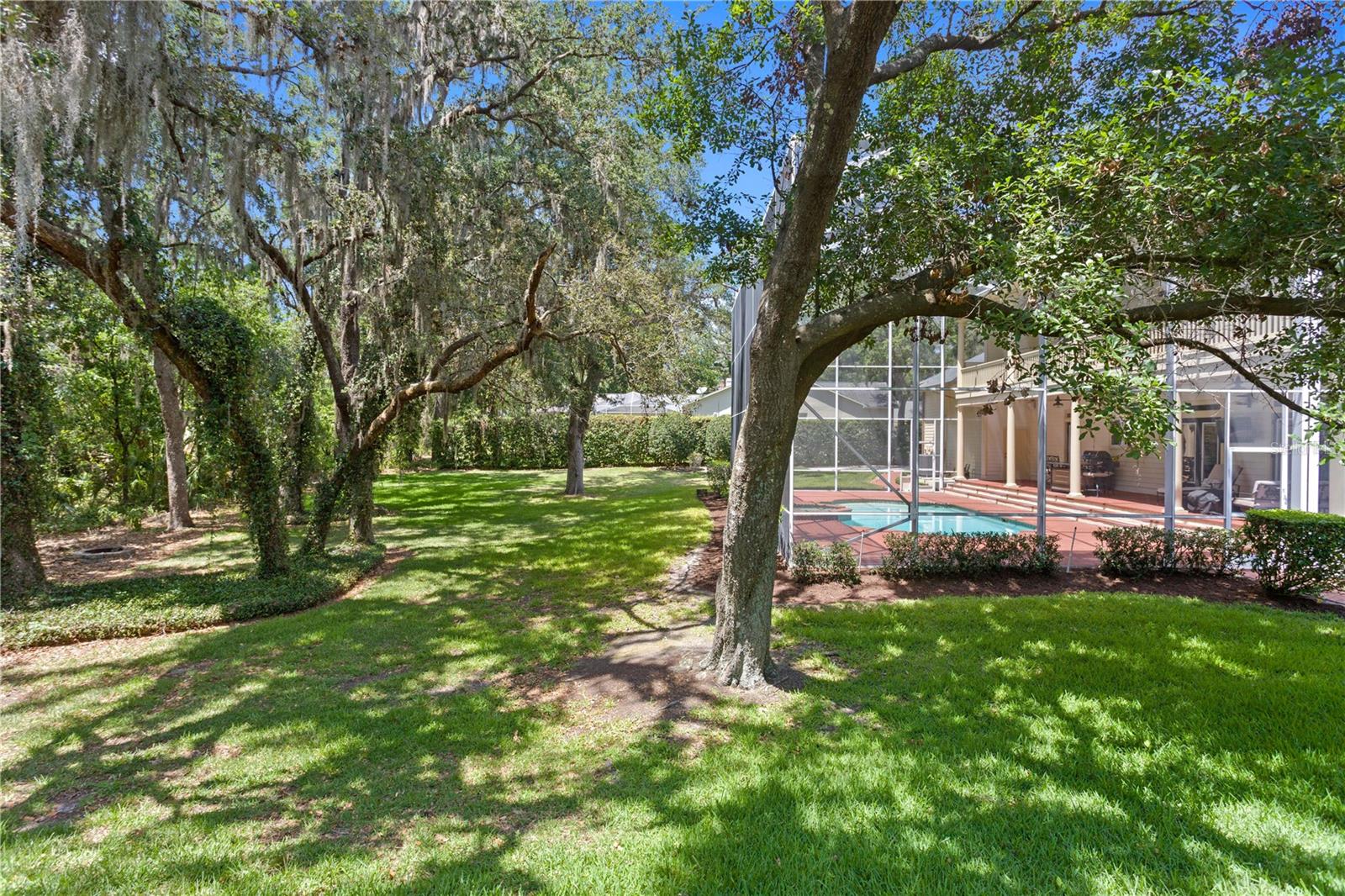 FISH HAWK TRAILS - Residential