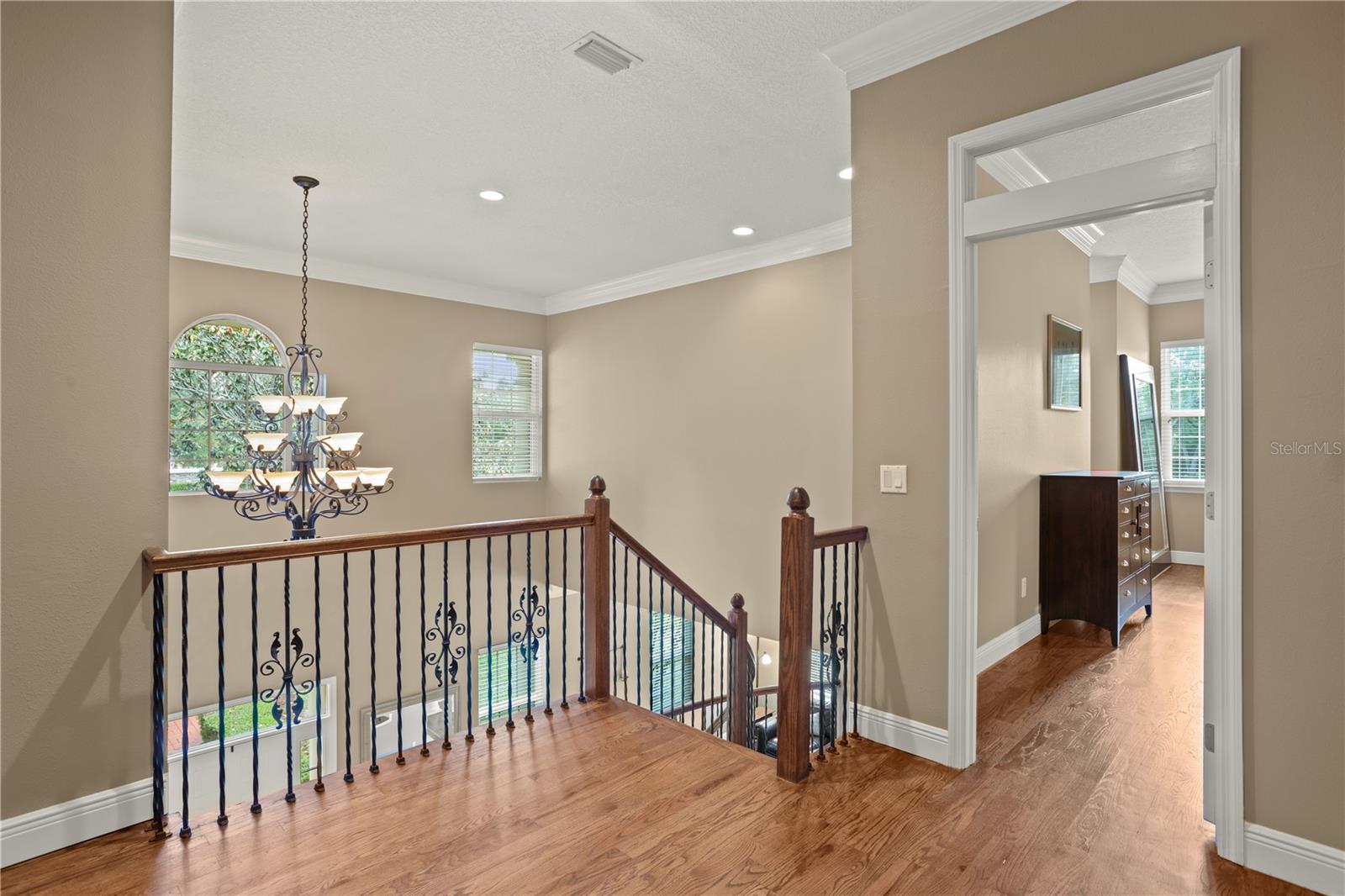 FISH HAWK TRAILS - Residential