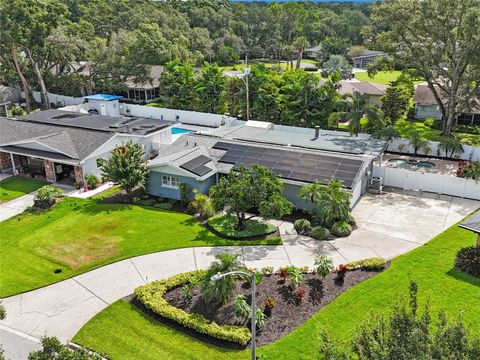 Photo of 4801 N Shirley Drive, Tampa, FL 33603 (MLS # TB8416185)