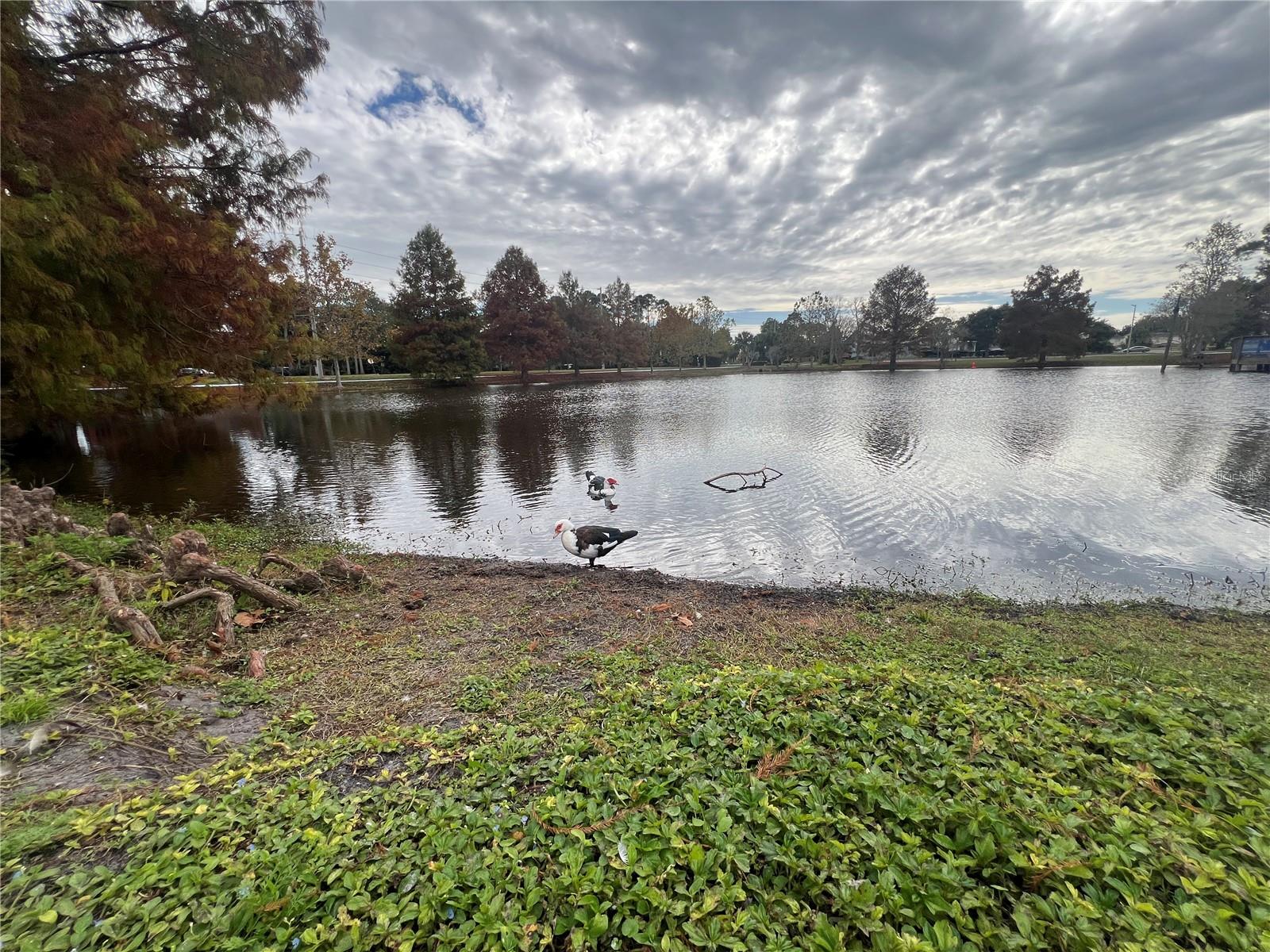 NORTH ORLANDO - Residential