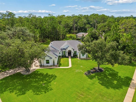 Photo of 13961 Smokerise Court, Orlando, FL 32832 (MLS # O6422819)