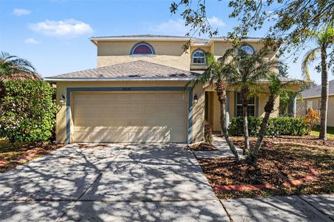 Photo of 19039 New Passage Boulevard, Land O Lakes, FL 34638 (MLS # TB8481201)