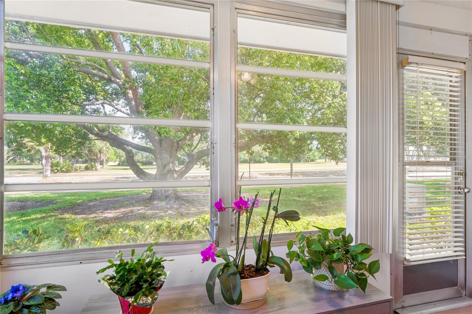 VILLAGE WOODS CONDO PH 03 - Residential