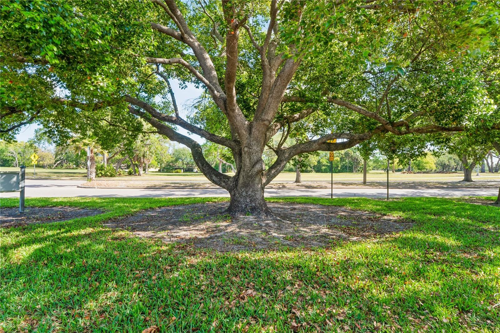 VILLAGE WOODS CONDO PH 03 - Residential