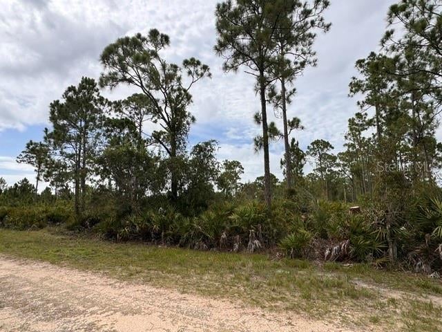 Photo of 27430 Chrysalis Drive, Punta Gorda, FL 33955 (MLS # D6148302)