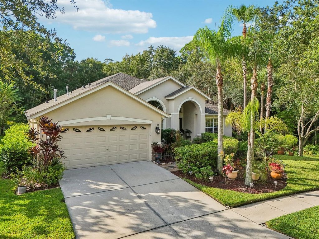 Photo of 8257 Swann Hollow Drive, Tampa, FL 33647 (MLS # TB8459221)