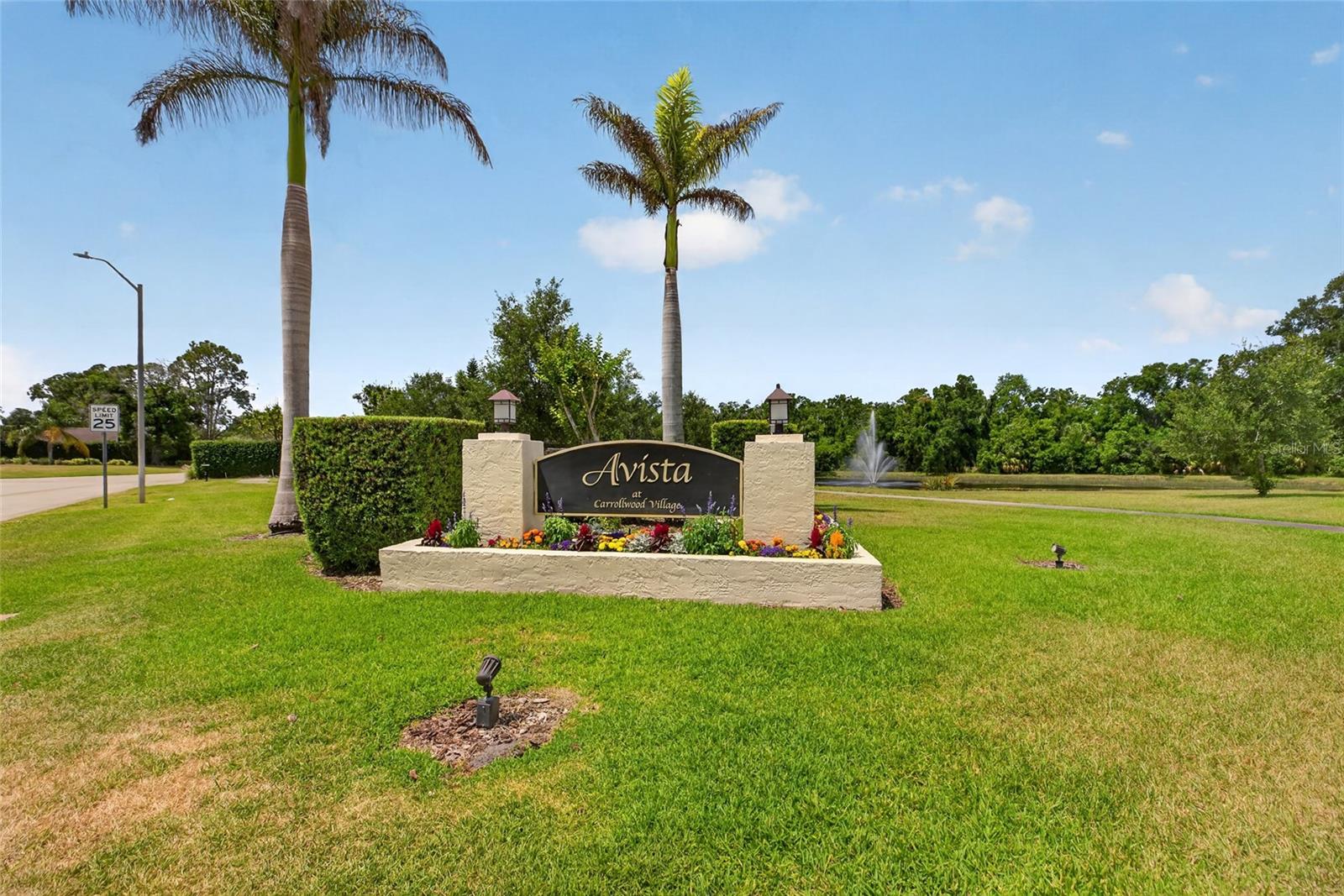 VILLAGE VI OF CARROLLWOOD VILL - Residential