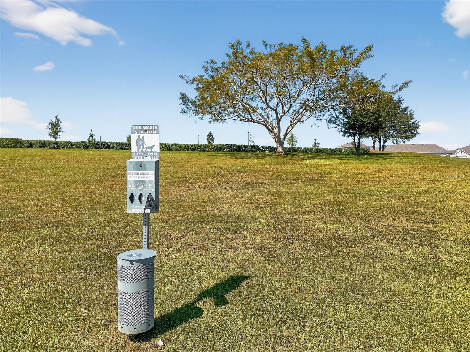 WATERSIDE AT ESTATES - Residential