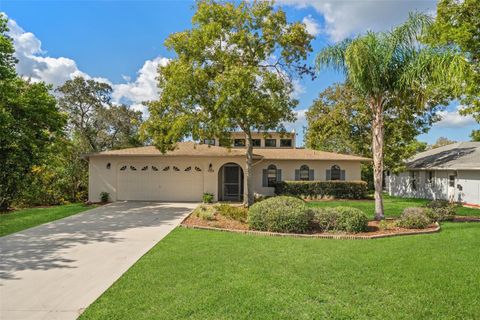 A home in SPRING HILL