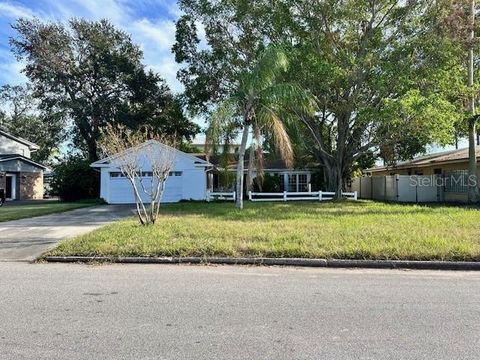 A home in TAMPA