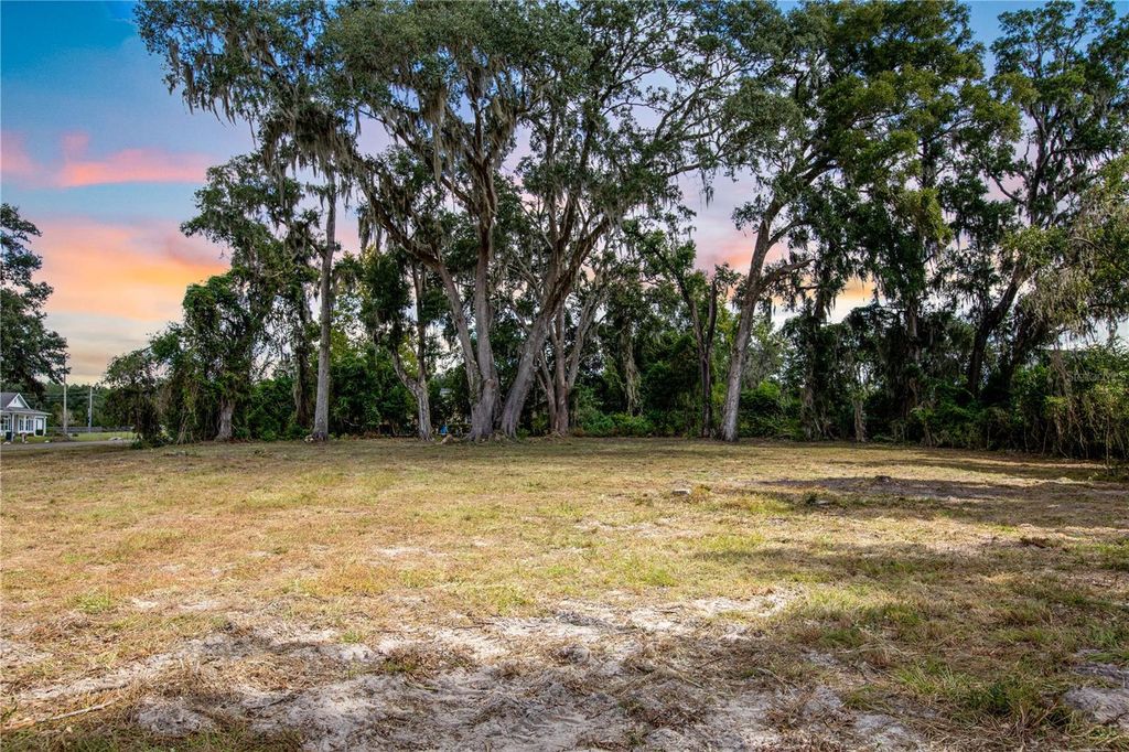 Photo of 25435 NW 173rd Avenue, High Springs, FL 32643 (MLS # GC534912)