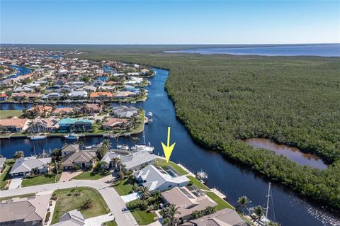 A home in PUNTA GORDA