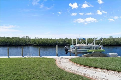 A home in PUNTA GORDA